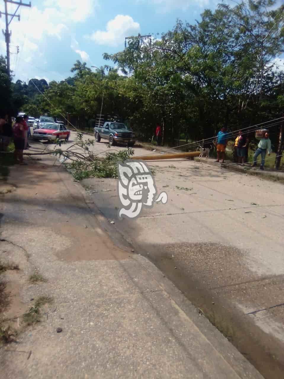 Choca contra poste y lo derriba; se bloqueó la carretera Nanchital-Las Choapas