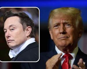 Tras ganar encuesta, Musk restablece cuenta de Trump en Twitter