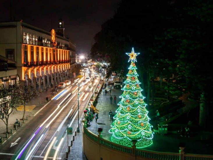 ¡Ya huele a Navidad! Instalan pino y adornos luminosos en Xalapa