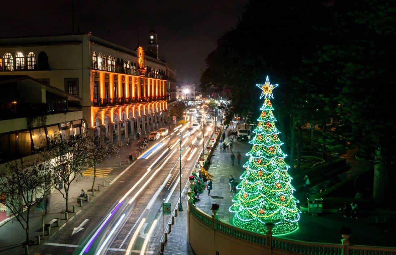 Ya huele a Navidad! Instalan pino monumental en Xalapa