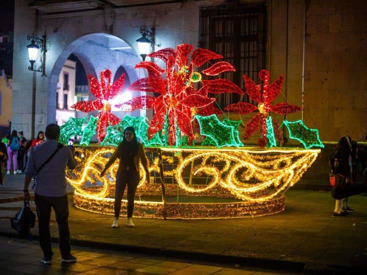 ¡Ya huele a Navidad! Instalan pino y adornos luminosos en Xalapa