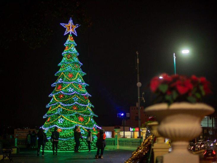 ¡Ya huele a Navidad! Instalan pino y adornos luminosos en Xalapa