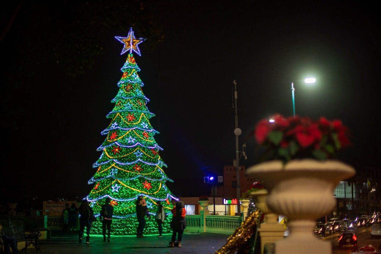 Ya huele a Navidad! Instalan pino monumental en Xalapa