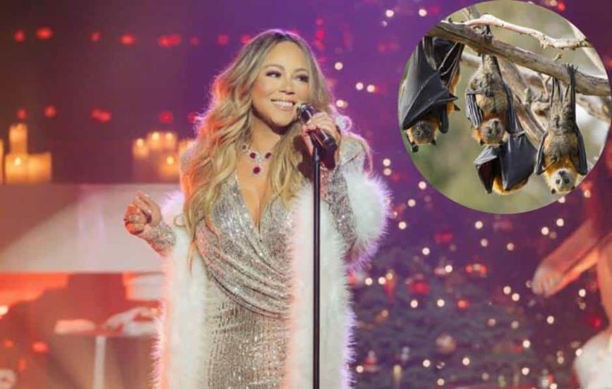 Murciélagos hacen la competencia a Mariah Carey y Axl Rose