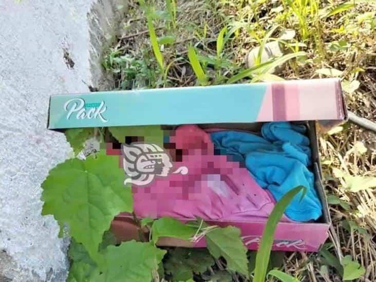 Fallece bebé que fue abandonada en una caja de zapato en la zona norte de Veracruz