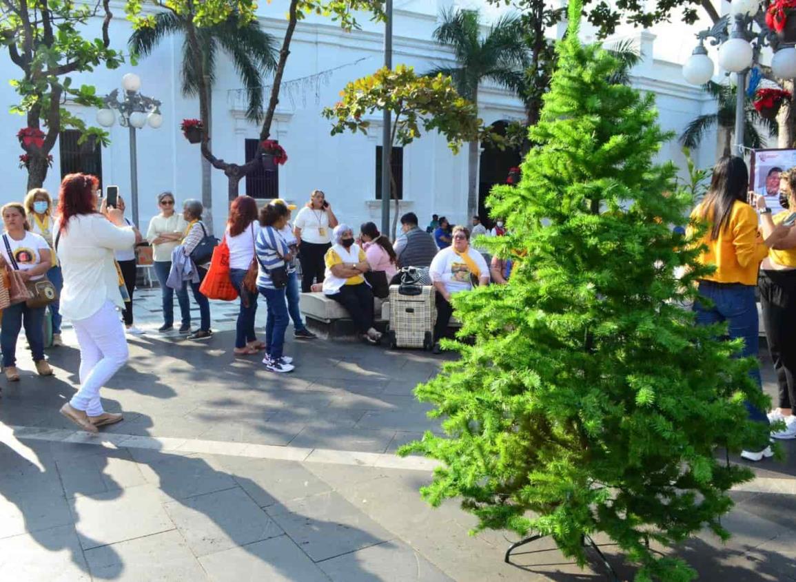 Sin el permiso del Ayuntamiento, Colectivo Solecito coloca “Árbol del Dolor” en el Zócalo de Veracruz (+Video)