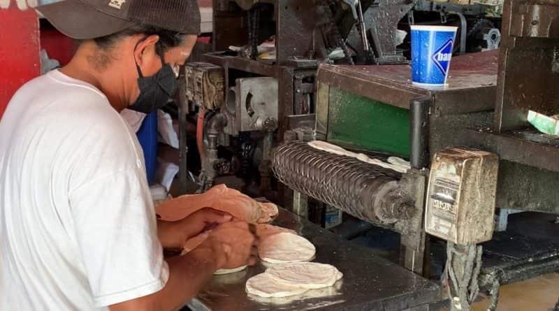 Kilo de tortilla en el sur de Veracruz alcanzaría los 26 pesos