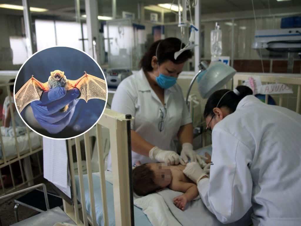 Confirman contagio de rabia en niños mordidos por un murciélago en Oaxaca