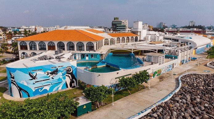 ¡Se protegen de apagones! Aquarium de Veracruz invierte 20 mdp en equipo de soporte de vida