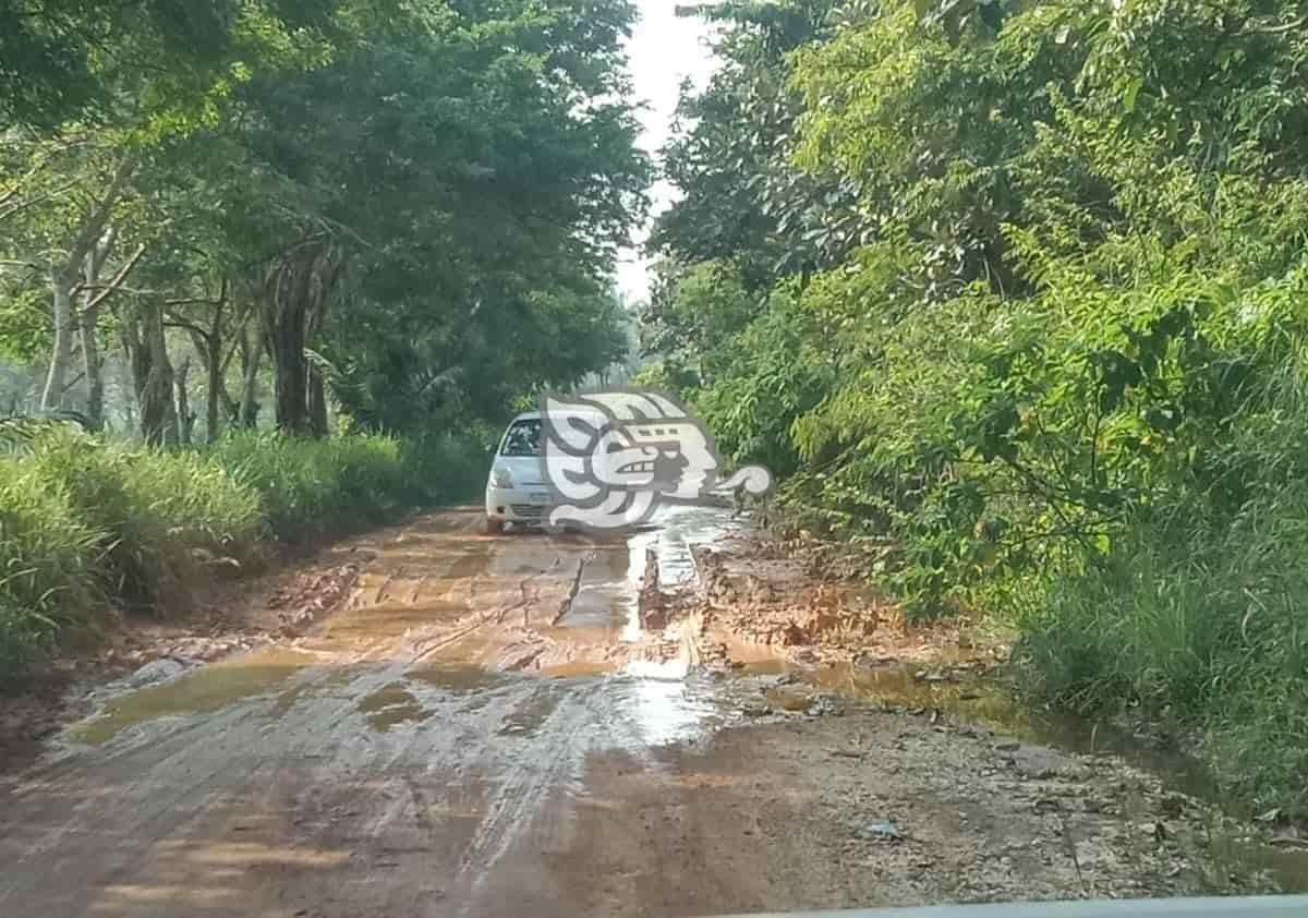 Esperan reparación de caminos tras daños por lluvias