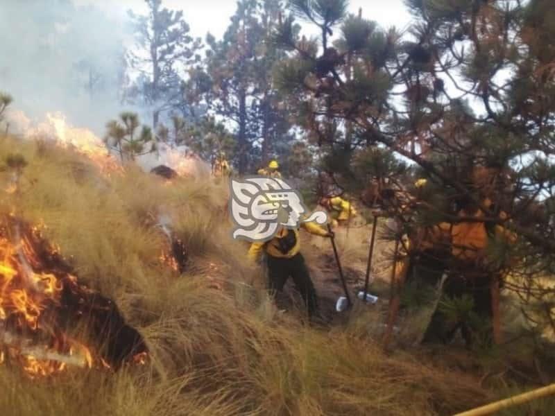 Autoridades emiten recomendaciones para evitar incendios forestales en Veracruz