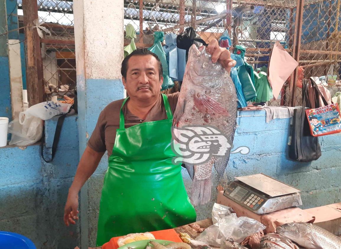 Pescados que se venden en Agua Dulce es de Chiapas y Tabasco alcanzan hasta los 7 kilos