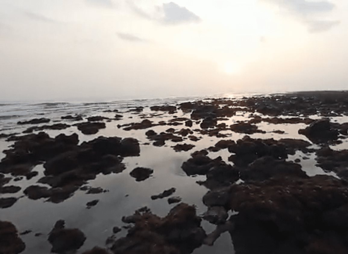 ¿Efecto del cambio climático?, se retira el mar en Boca del Río (+video)
