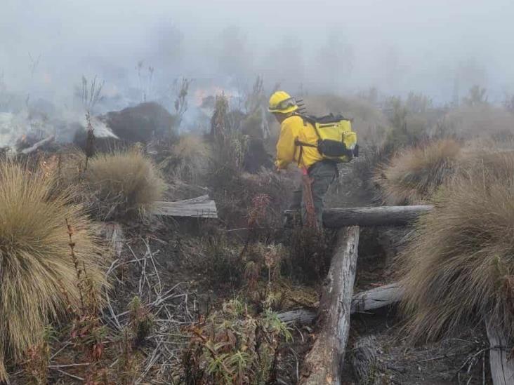 Contenido, incendio en el Pico de Orizaba; PC La Perla mantiene vigilancia