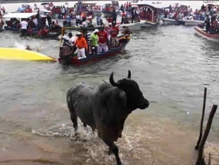!Justicia!; Quien maltrate a toros en Fiestas de la Candelaria podría pagar con años de cárcel en Tlacotalpan