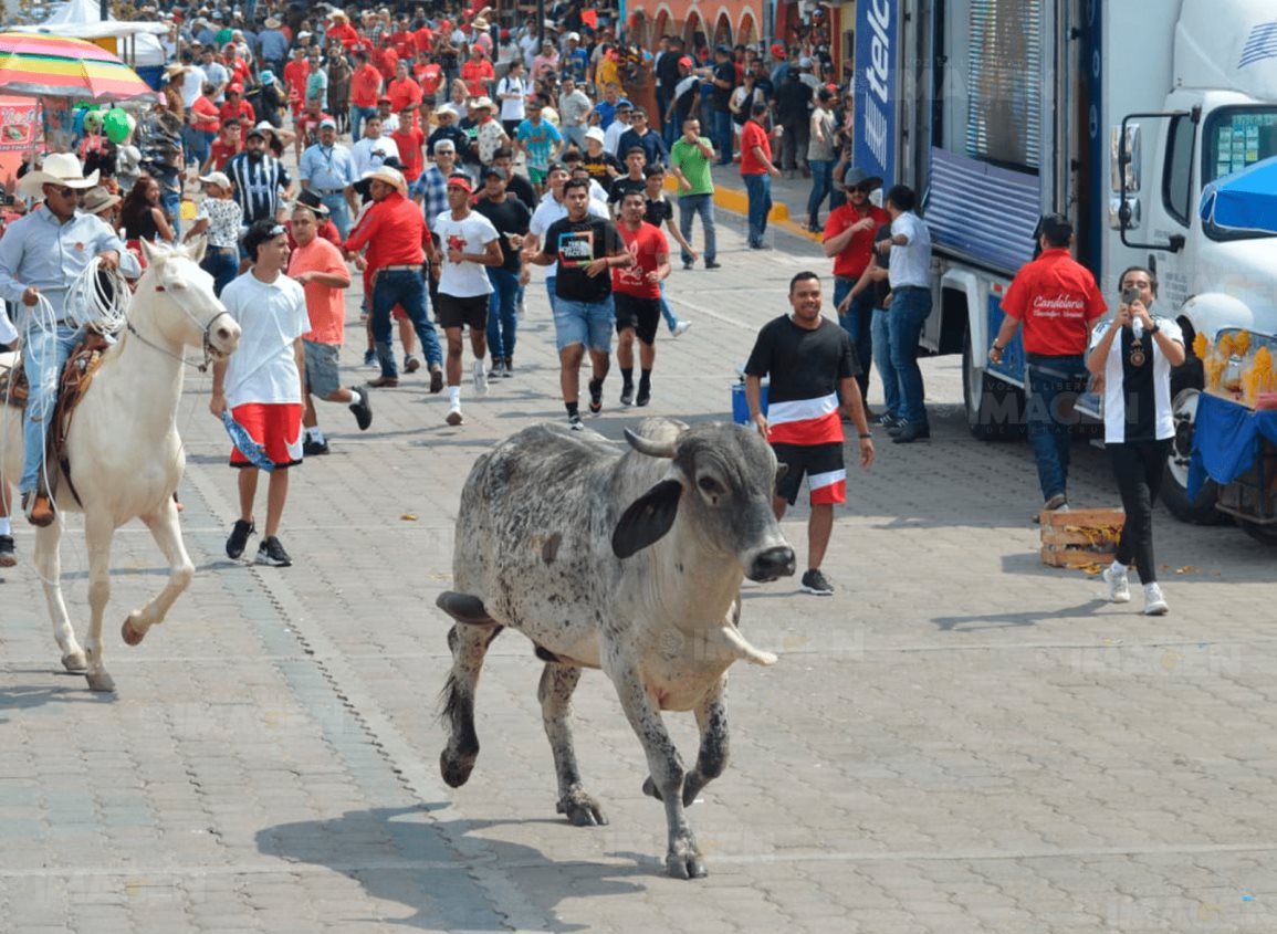Con embalse de toros iniciaron las fiestas de la Candelaria en Tlacotalpan (+Video)