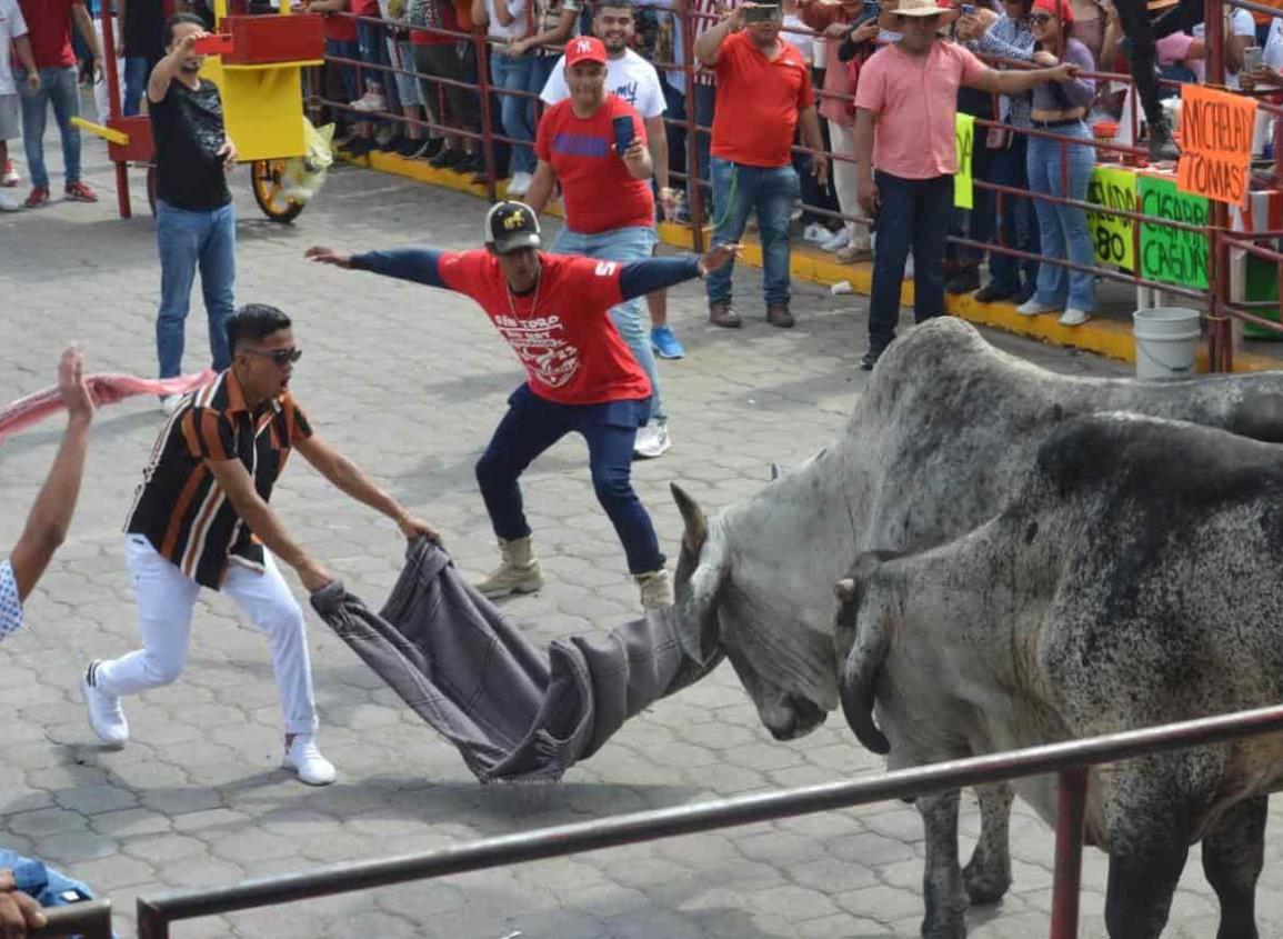 "No puede haber cultura a base del maltrato, condenan encierro de toros en Tlacotalpan