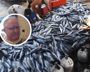 Diócesis considera como un milagro la captura de 1 tonelada de peces sierra en Veracruz