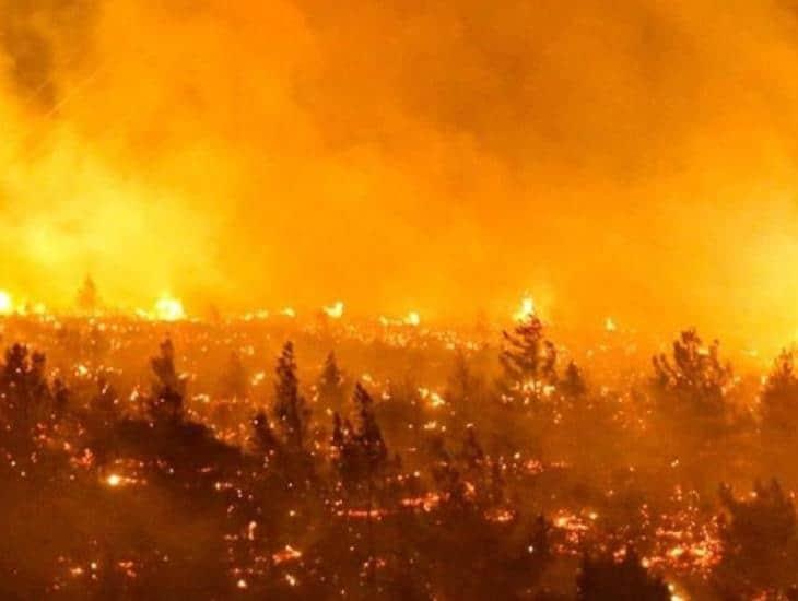 Chile agradece envío de brigadistas mexicanos para combatir los incendios forestales