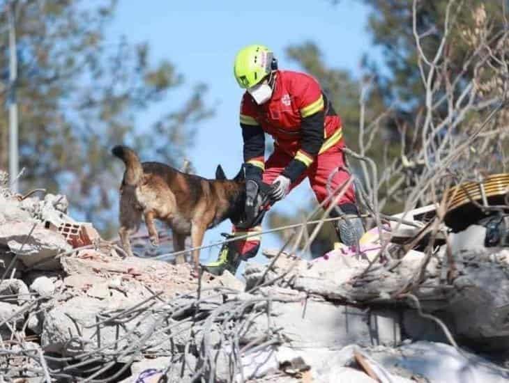 Afirma SRE, no hay mexicanos identificados entre víctimas de terremoto en Turquía