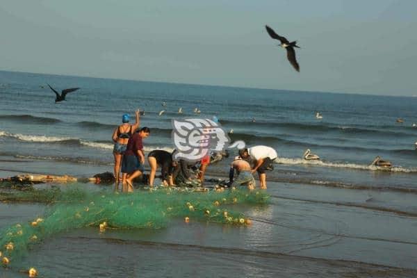 En beneficio de pescadores, proponen extender el programa Sembrando Vida al mar