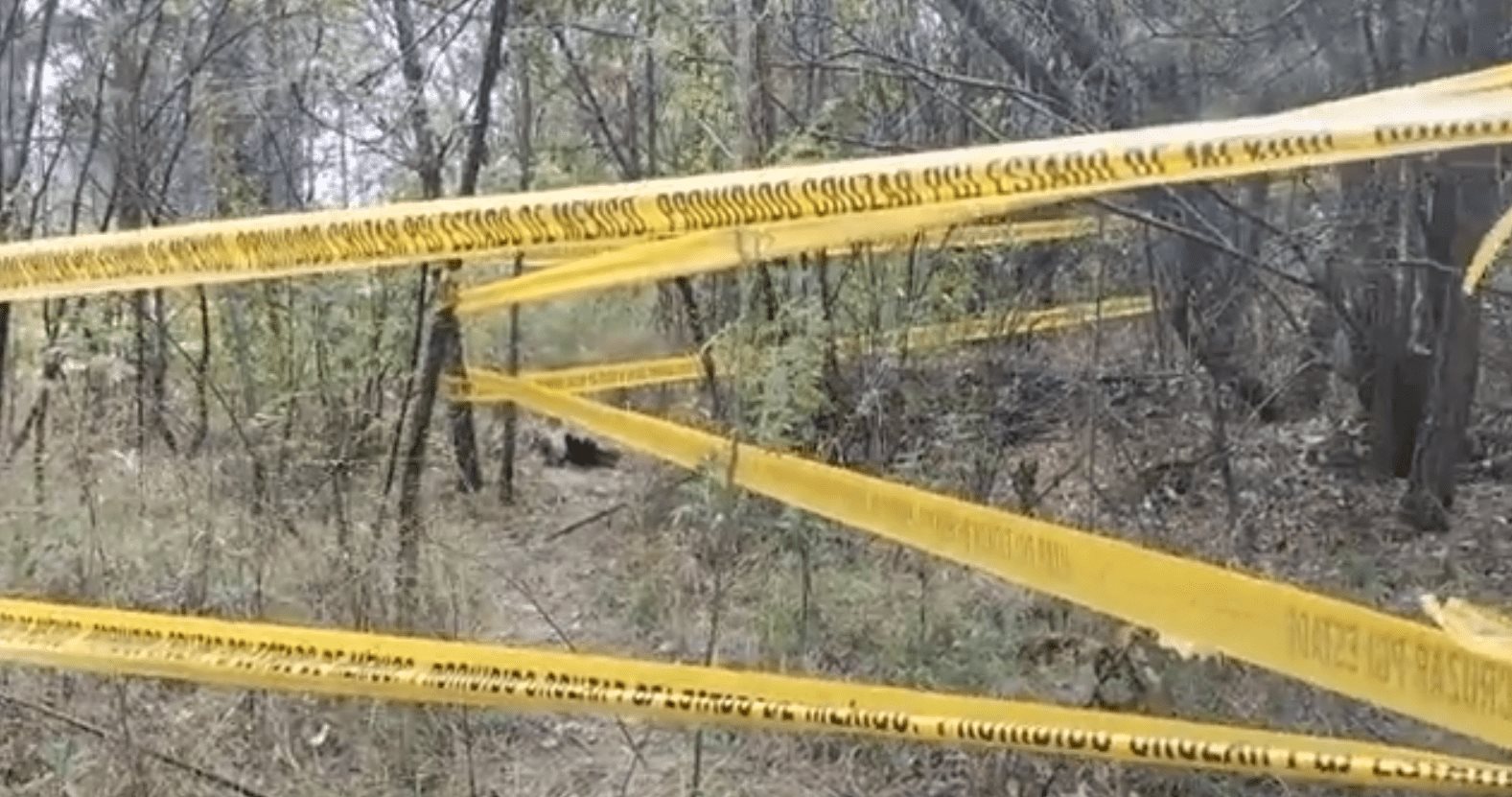 Hallan restos humanos en nueve narcofosas en el Estado de México