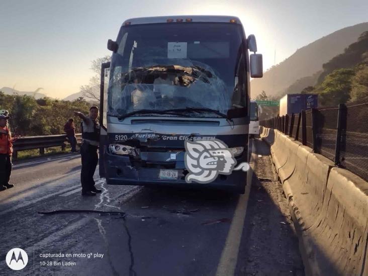 Carambola de autobuses paraliza la Orizaba-Puebla (+Video)