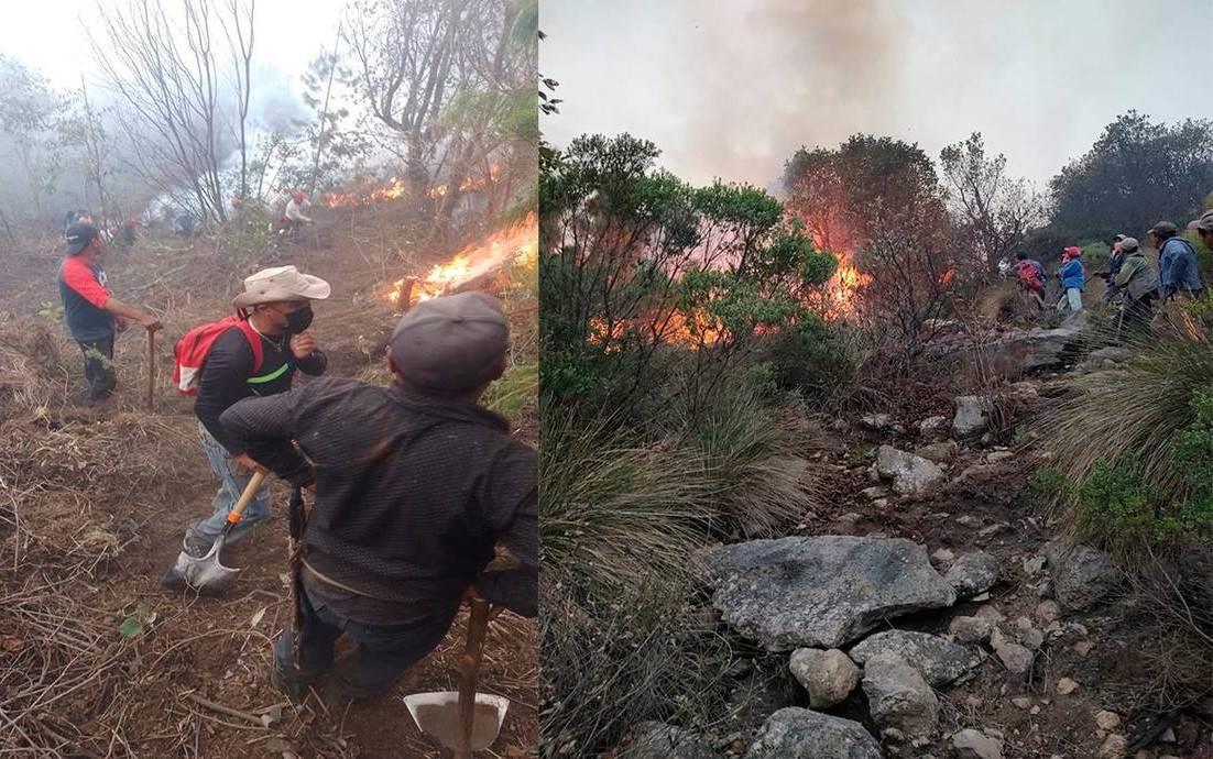 Brigadistas combaten 4 incendios en zona del Cofre de Perote