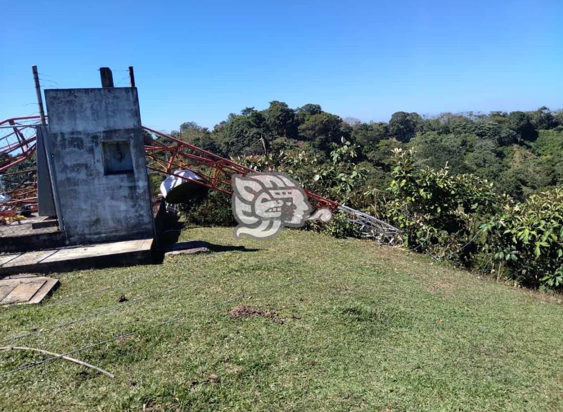 Colapsa torre de empresa telefónica en Moloacán 