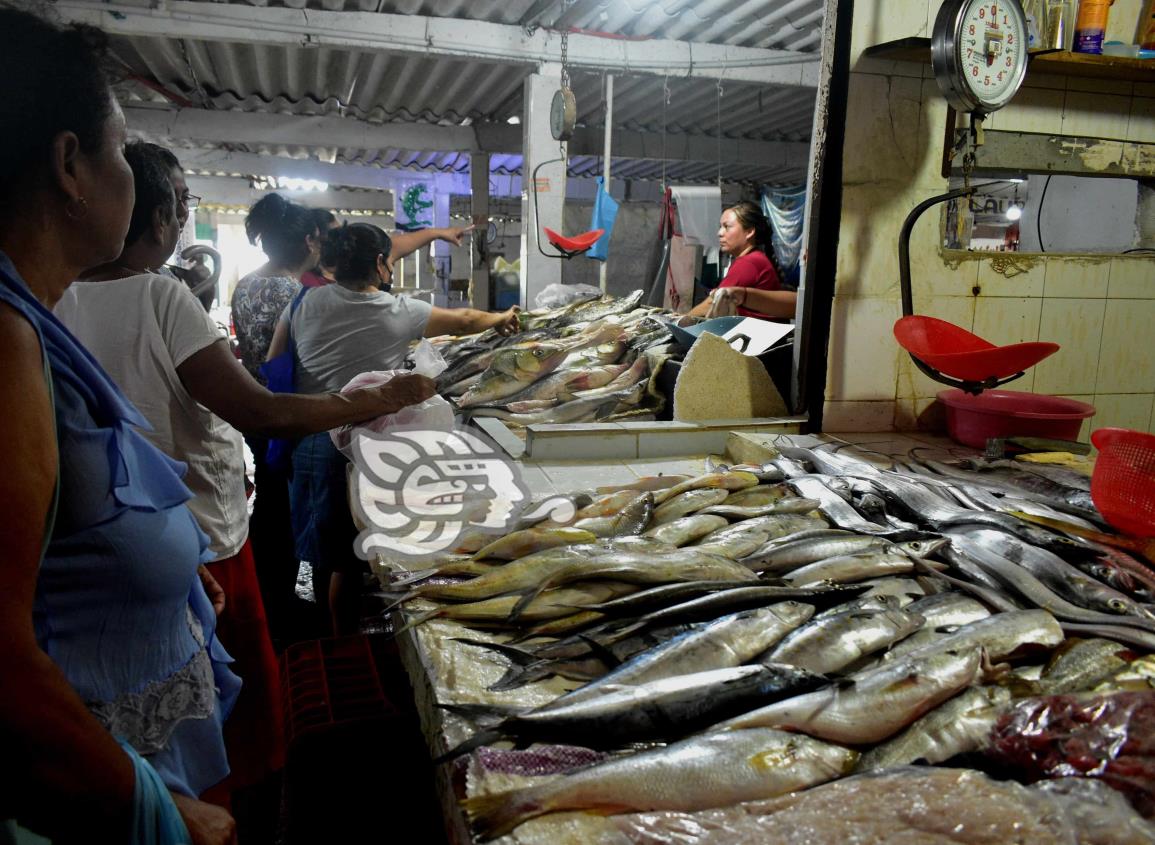 Frentes fríos congelan ventas en mercado de mariscos de Coatzacoalcos