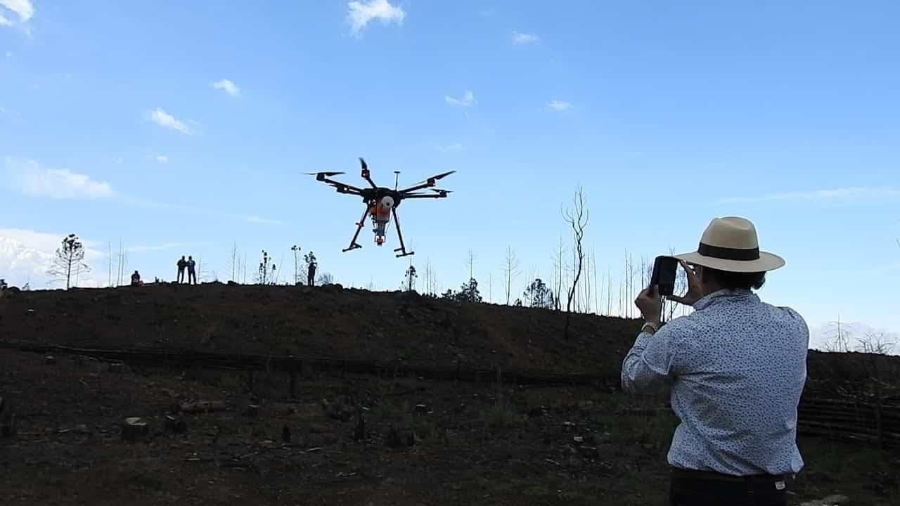 Usan drones para reforestar bosques en Veracruz