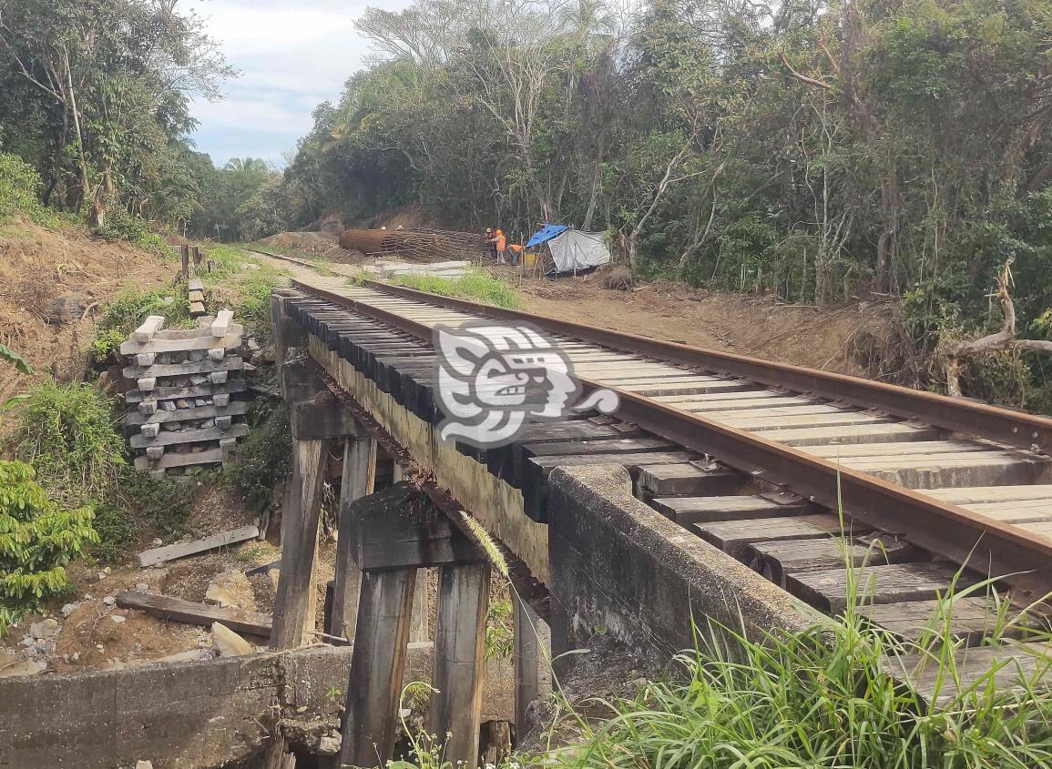 Avanzan trabajos de rehabilitación de vías ferroviarias en Moloacán(+Video)