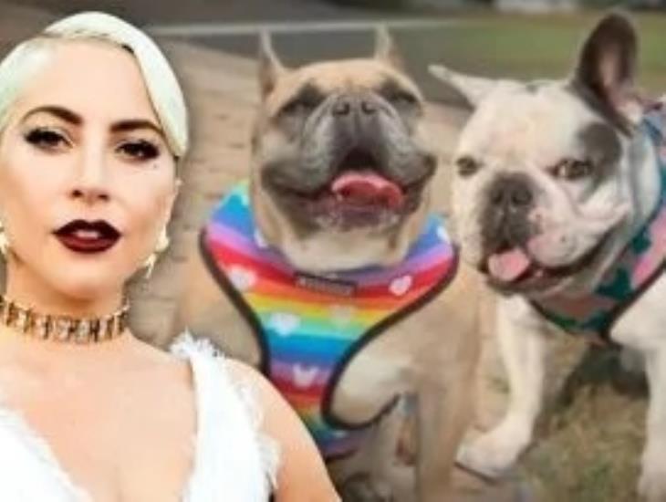 Lady Gaga es demandada por no pagar recompensa de sus perros