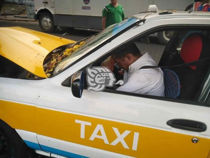 Taxista de Córdoba se desmaya y choca contra un árbol