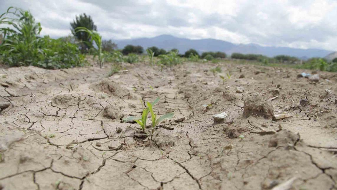 Más de 100 municipios veracruzanos con problemas de sequía