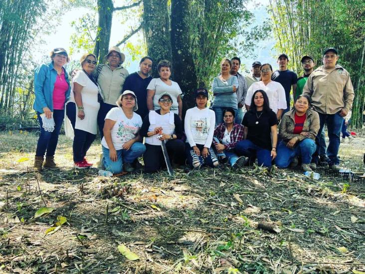 La verdad enterrada: limpian predio en Río Blanco para buscar fosas clandestinas
