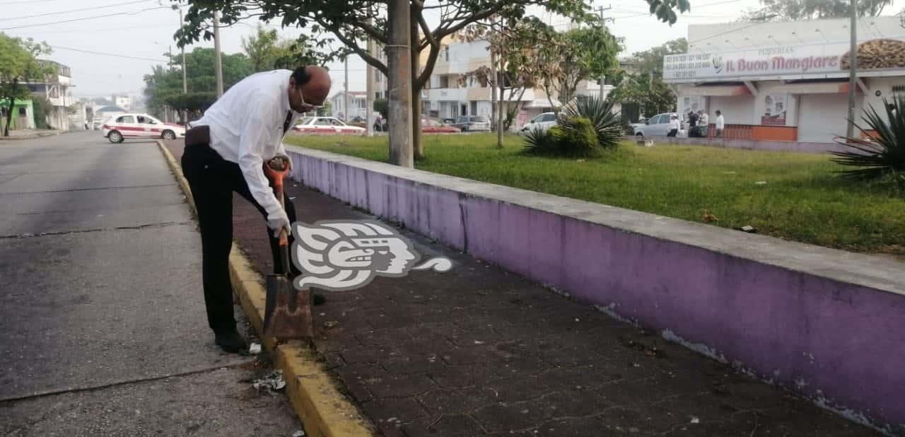¡Madrugaron!; Regidores realizan limpieza en avenida Independencia