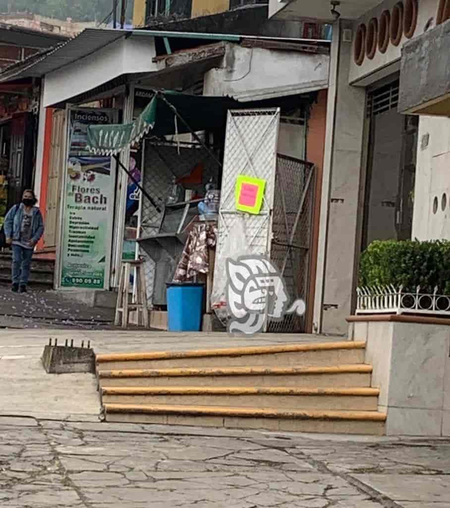 ¡Cochinos! taquería genera foco de infección en avenida de Xalapa