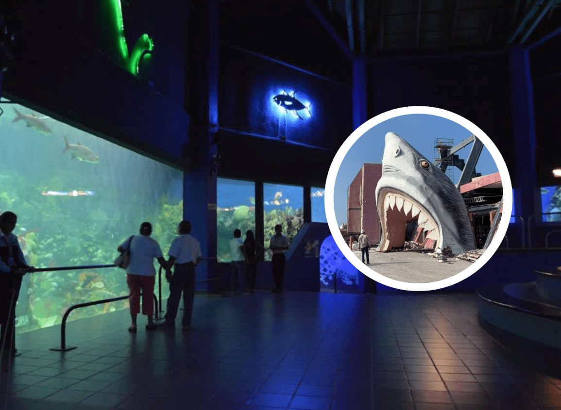 ¡Eh hora buena!: alista PMA proyecto de remodelación del Aquarium de Veracruz