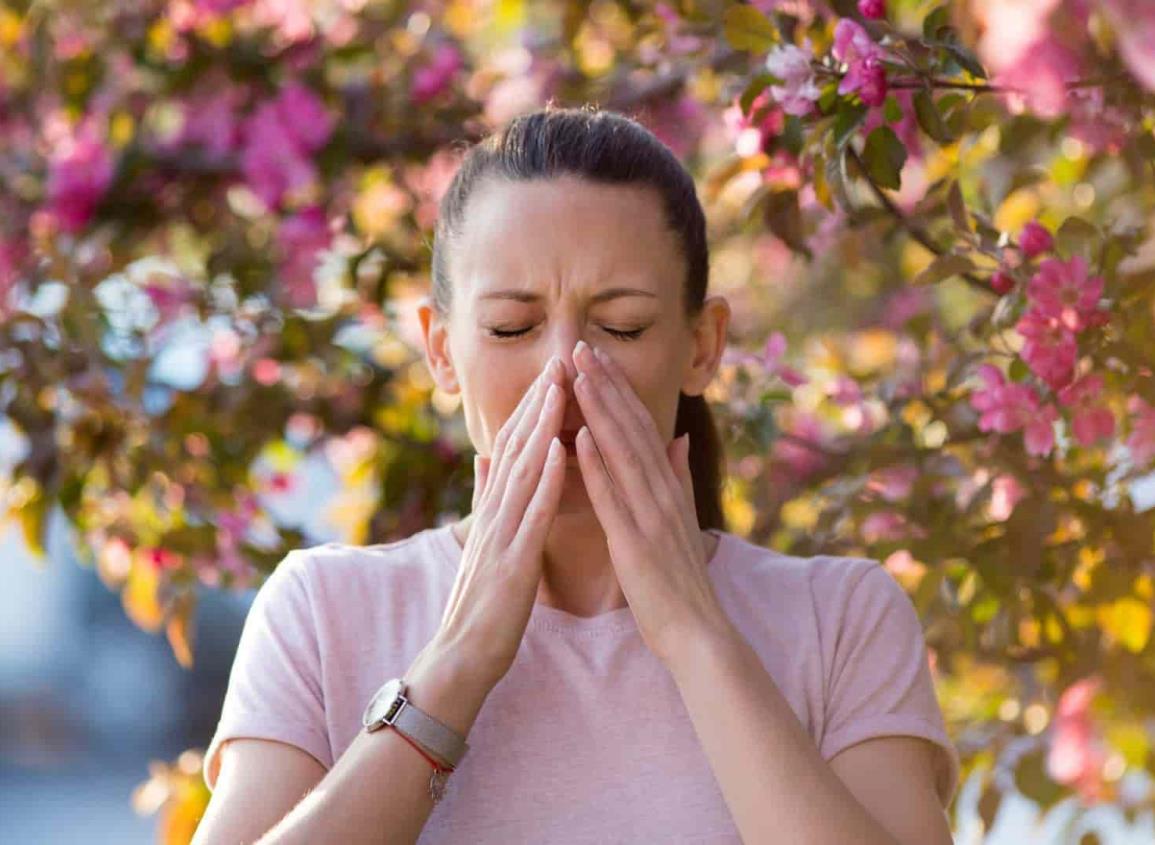 ¿Cómo sobrevivir a las alergias por la primavera y no morir en el intento?