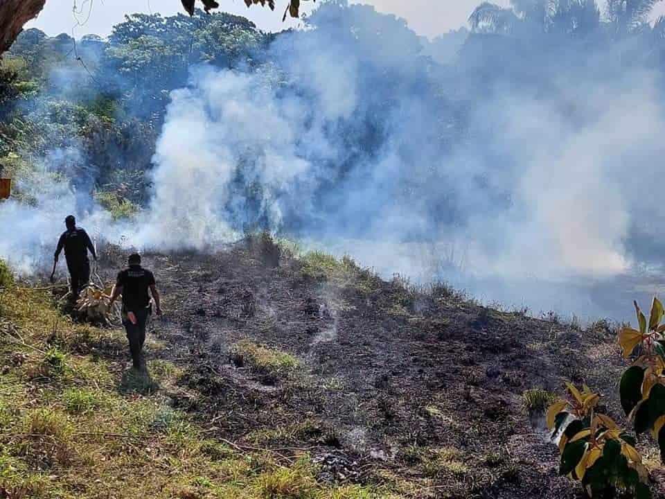 Por fortuna, incendios en Moloacán no han sido severos 