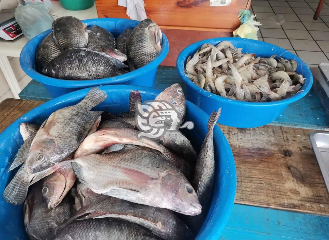 Repunta la venta de mariscos en Nanchital
