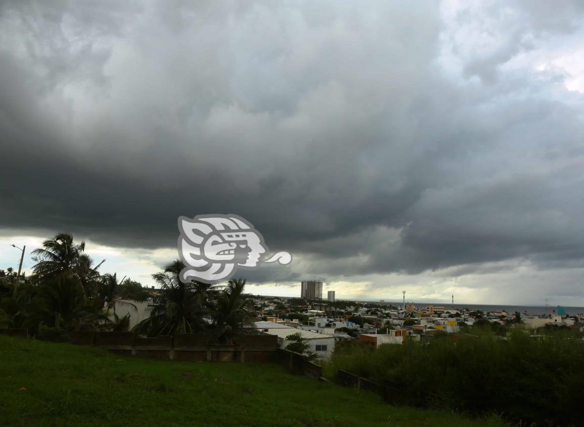 Solo 5 municipios de Veracruz se suman contra cambio climático: Sedema