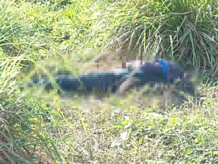 Chilango encuentra la muerte en el sur de Veracruz; hallan su cuerpo en autopista Cosoleacaque- La Tinaja