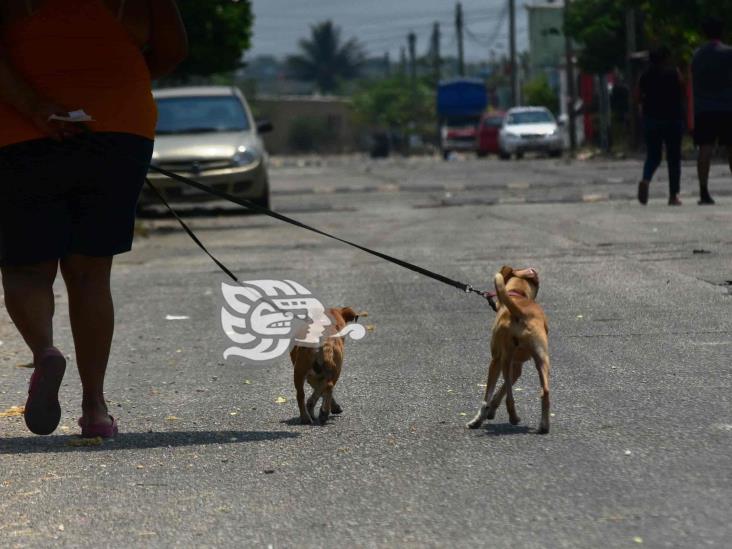 Inicia Jurisdicción XI con vacunación antirrábica en Coatzacoalcos