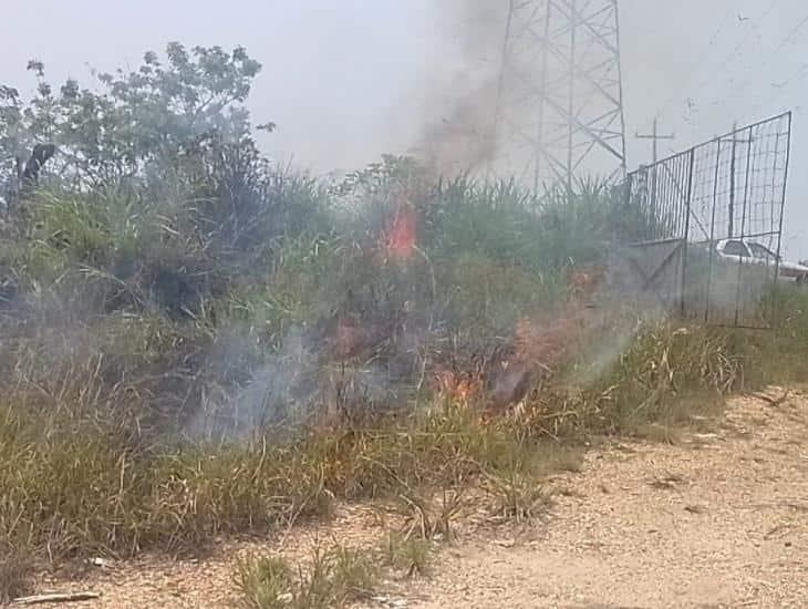 ¡Por altas temperaturas! arde pastizal en tramo Nanchital- Ixhuatlán del Sureste (+Video)