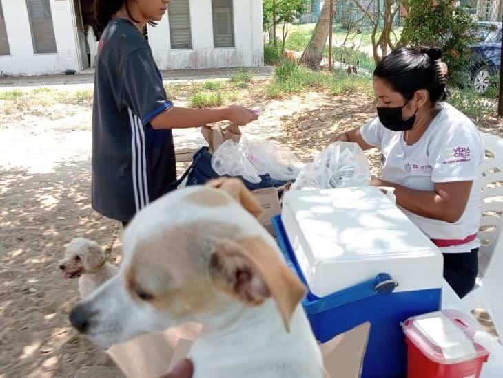 ¡Se acabó la rabia!, termina la campaña de vacunación de perros y gatos