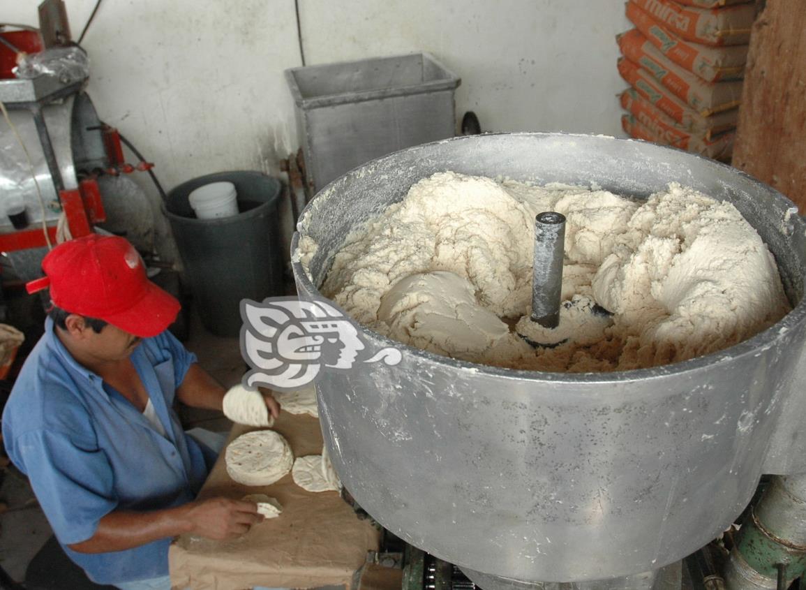 Pese a introducción de maíz barato, no baja precio de la tortilla en Veracruz