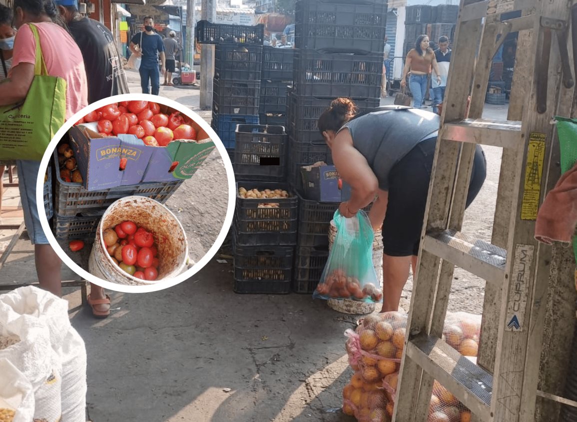 ¡Para ellos no es desperdicio! rescatan frutas y verduras en mercado de Veracruz