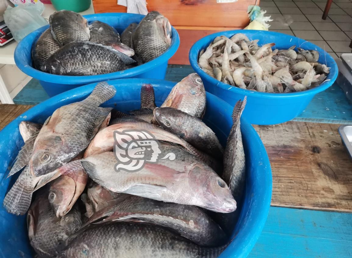 Marisqueros de Nanchital se preparan para veda de camarón